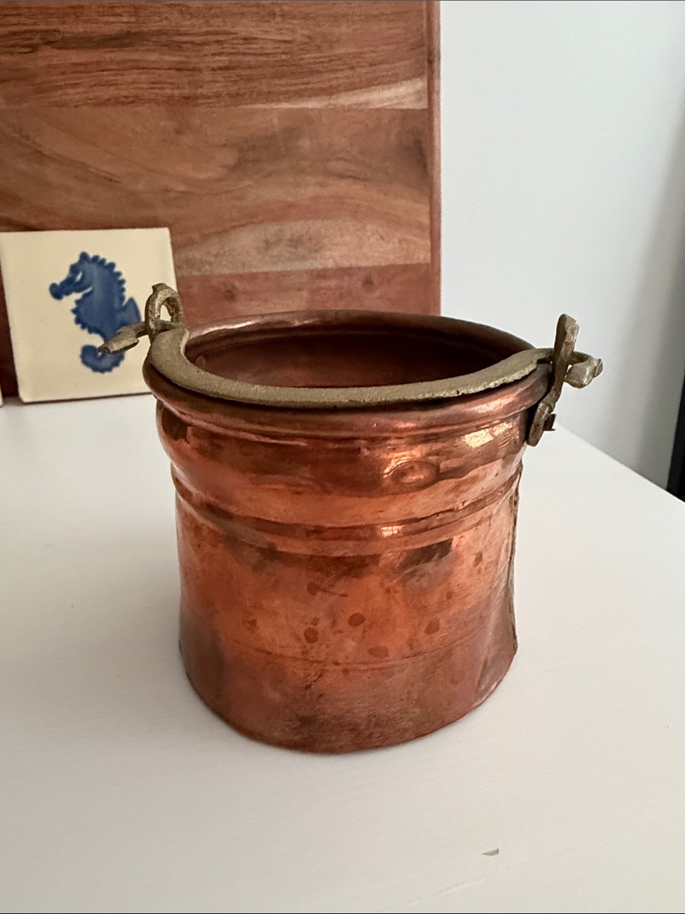 Copper Decorative Planter Decor with Brass Rim